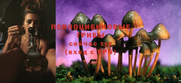 ECSTASY Бугульма