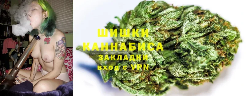 Бошки марихуана OG Kush  Тара 